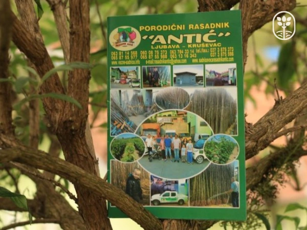 katalog