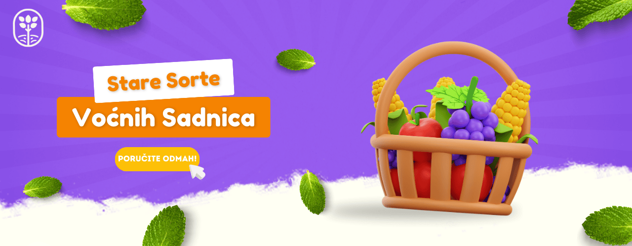 stare sorte voćnih sadnica